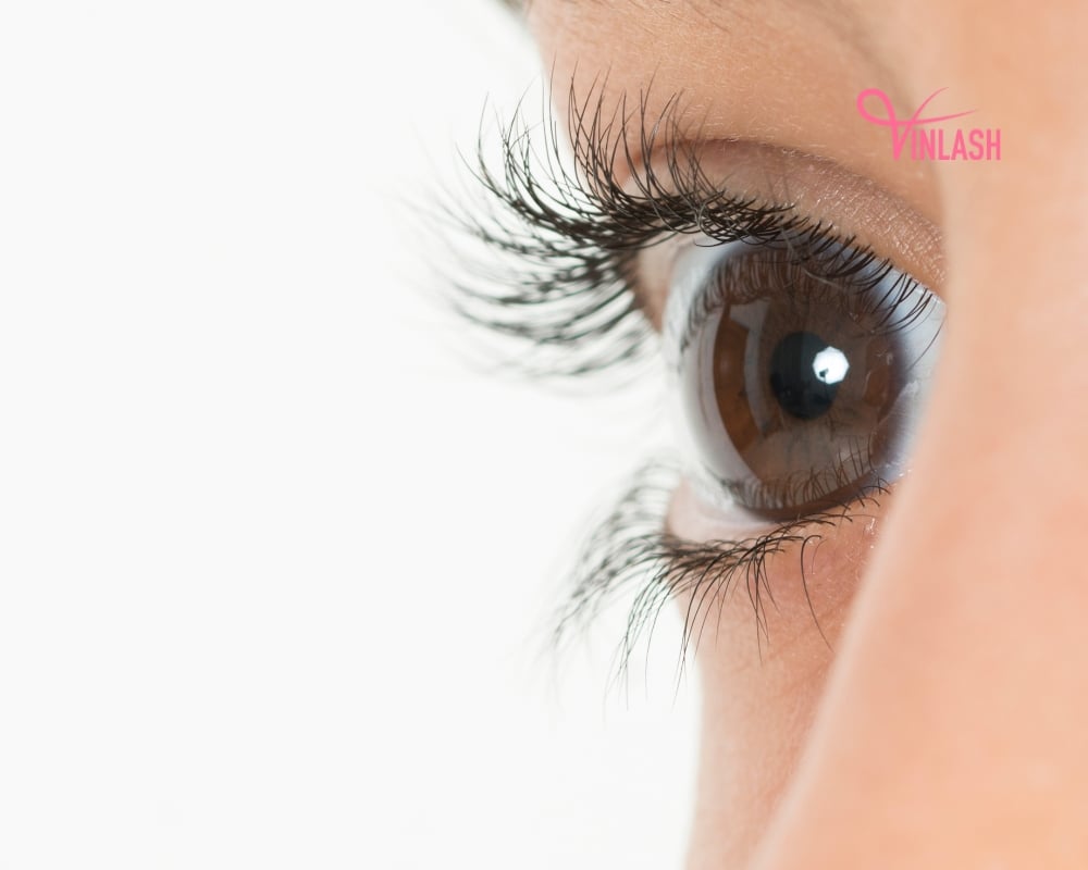 how-to-choose-reputable-individual-eyelash-extension-manufacturers-4