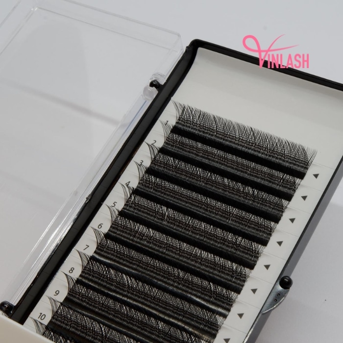 4D W clover eyelash extensions black 16 lines VLV064-5