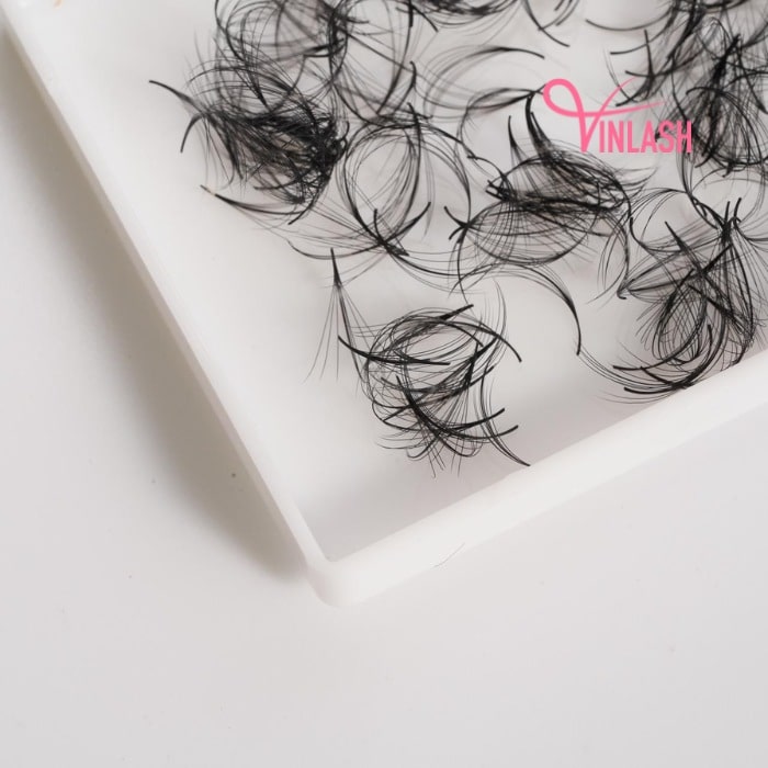 Wispy eyelash extensions black loose 500 fans VLV034-5