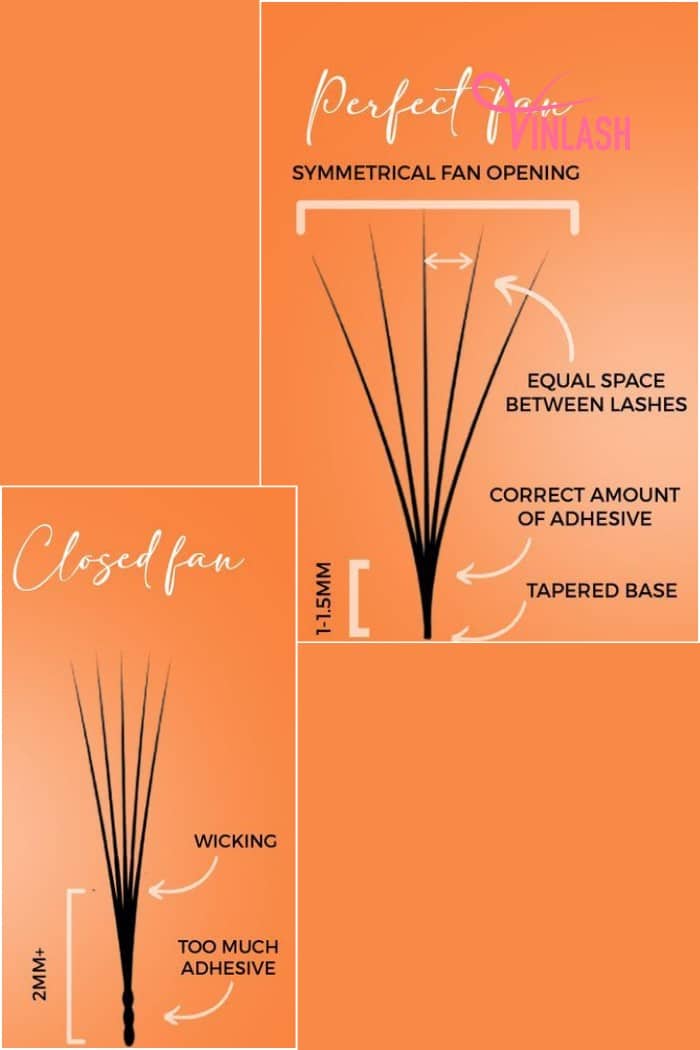 Understanding about lash fan closing