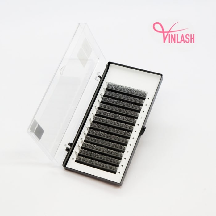 3D W clover eyelash extensions black 16 lines VLV063-1