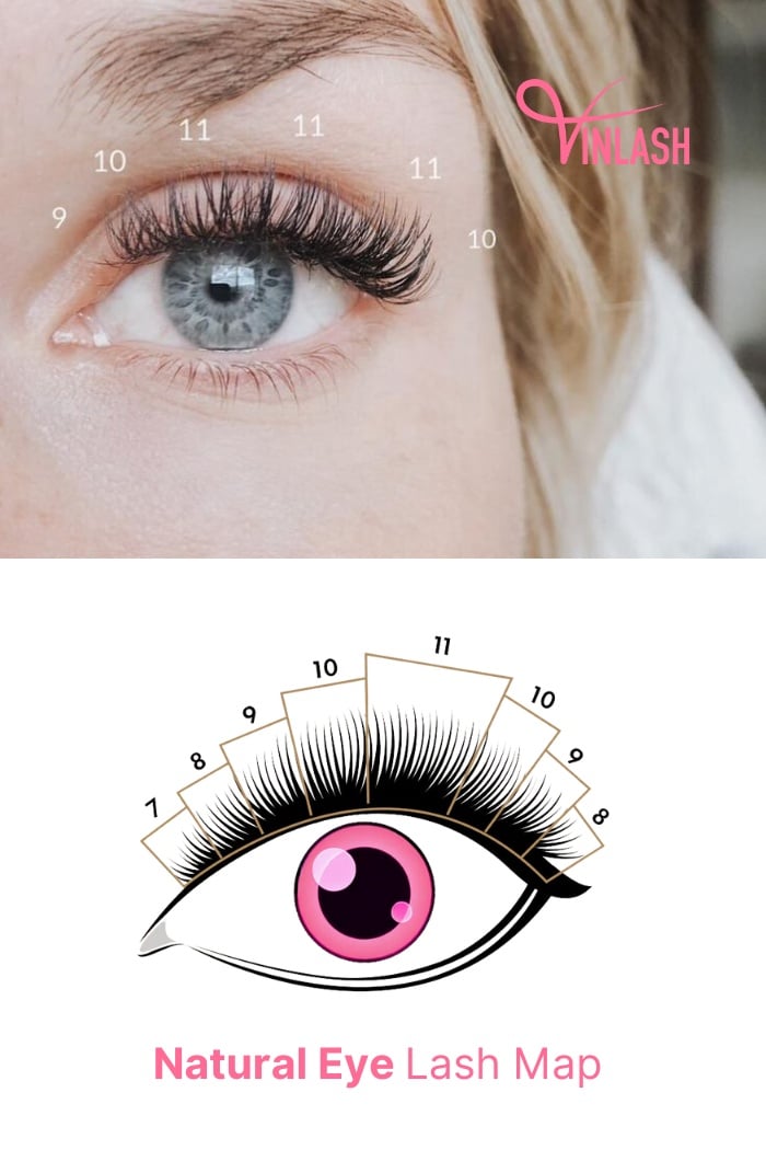 Natural Eye Lash Map